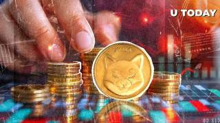 Шиба Іну на спаді: зниження цін і заклик до єдності від розробника