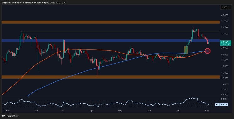 Ціна Ripple: Аналіз підтримки після падіння нижче $3 і ведмежий імпульс на ринку