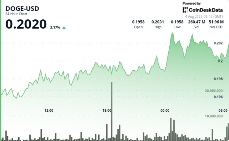 DOGE зростає, але зупиняється під опором $0.20: аналіз ринку та потенційні напрямки руху токену