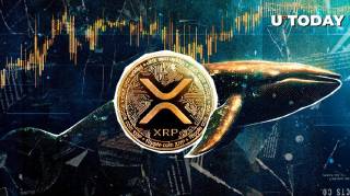 Кит-противник XRP потерпел ликвидацию на Hyperliquid с убытками более $650,000 после роста токена выше $2.894