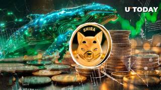Шиба Іну (SHIB) зростає на 600% завдяки активності китів
