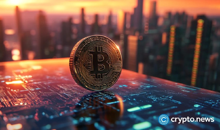 Акции Metaplanet упали на 55%: причины и последствия для инвесторов