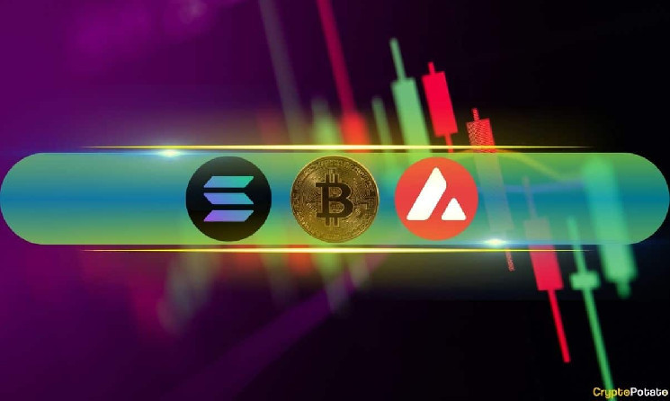 Bitcoin столкнулся с волатильностью: краткий анализ текущей ситуации.