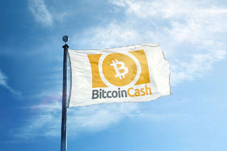 Bitcoin Cash (BCH) подвоєння: історичні дані та цінові наслідки