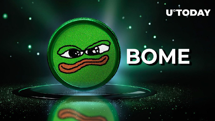 Книга мемов (BOME) - новая сенсация в мире мем-койнов