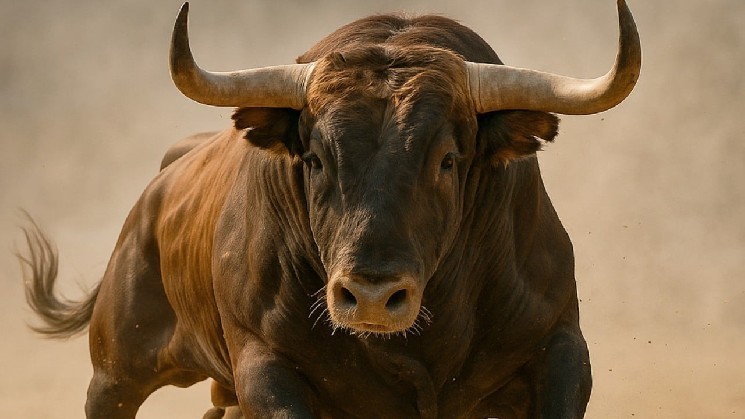 Перспективы роста криптовалют: три возможности от Мэтта Хоумана в свете изменений в регулировании SEC