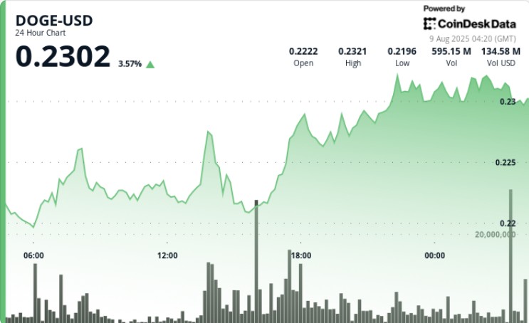 DOGE досяг 23 центів: китове накопичення та зона постачання стримують прорив