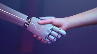 Perle привлекла $9 млн для разработки AI-платформы на базе Web3
