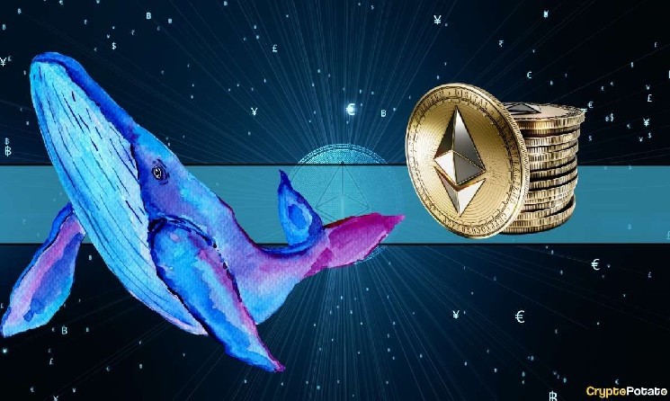 Эфириум достиг 4200 долларов: оптимизм китов и розничных инвесторов нарастает