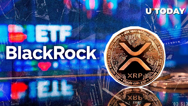 Будущее ETF на XRP: перспектива изменения мнения BlackRock