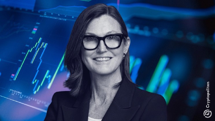 Tesla, Roku та Coinbase лідирують у ETF ARKK із рекордним притоком готівки