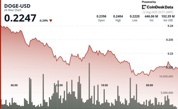 DOGE зазнав падіння: технічний аналіз та ринкові тенденції