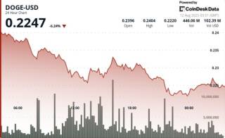 DOGE падает на 7% и стремится к поддержке в 22 цента на фоне высокой распродажи и макроэкономических факторов