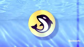 Orca DEX анонсує викуп токенів і стейкінг для тримачів ORCA