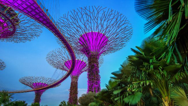 MetaComp запускает RLUSD для международных транзакций на платформе StableX