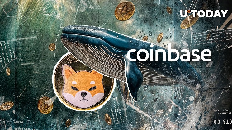 Кит Shiba Inu перевів 202 мільярди SHIB на Coinbase: чи чекає мем-монету ведмежий ринок?