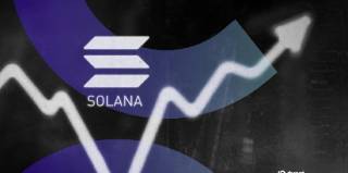 Solana та Dogecoin зростають на фоні нових рекордів Bitcoin та Ethereum