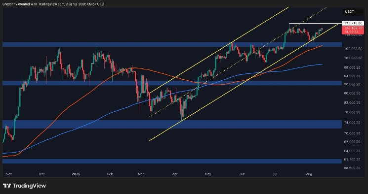 Новый исторический максимум Биткойна: подъем к 123 000 долларов или предвестник коррекции?