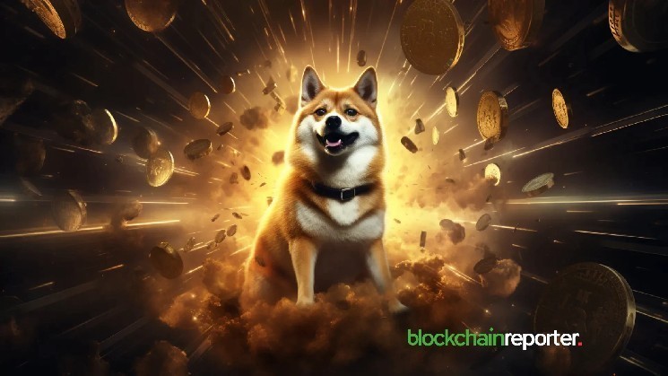 Dogecoin: Шанси на зростання та інтерес китів посилюють оптимізм інвесторів