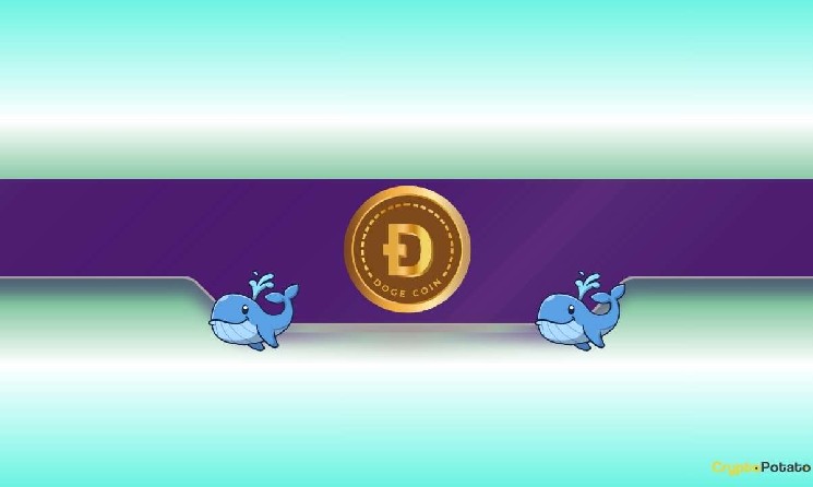 Dogecoin: Велетні Інвестори Купили 2 Мільярди Токенів – Чи Чекає Нас Цінове Ралі?