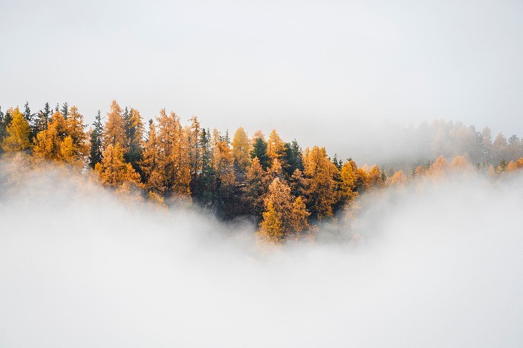 Mysten Labs призначила Мустфу Аль Ніаму головою ринків капіталу для інтеграції традиційних фінансів і токенізації активів