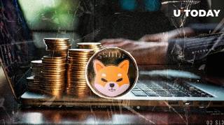 Проблемы в сообществе Shiba Inu: Хакеры захватили кошелек Deployer 1 и предупреждение о мошеннических токенах