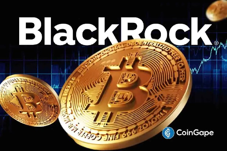 Bitcoin-ETF BlackRock достиг рекорда: активы превысили 90 миллиардов долларов на фоне исторических максимумов биткойна