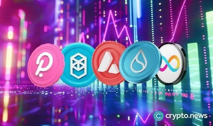 Зростання ринку альткоїнів на 50%: чи настає новий сезон альткоїнів?