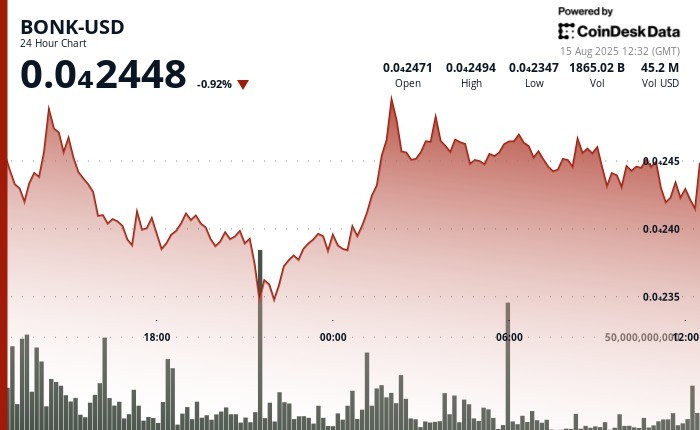 BONK: Ключова підтримка та волатильність токена-меми Solana