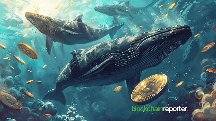 Великий гравець в Bitcoin активізувався: 353 мільйони доларів у BTC викликають занепокоєння на ринку