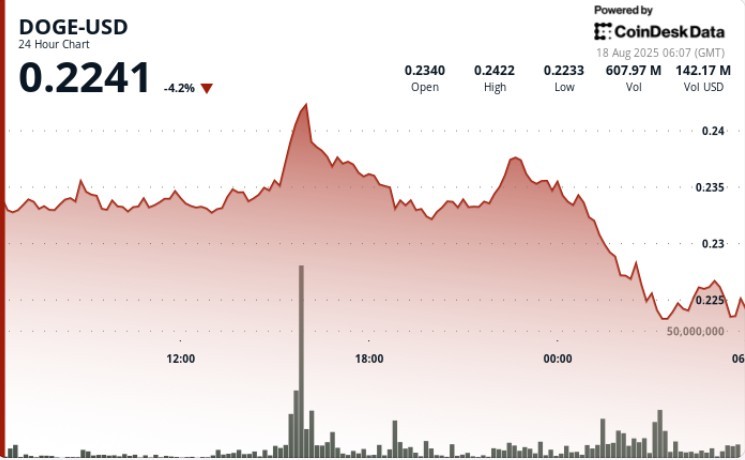 DOGE впав через продажі, незважаючи на накопичення китів та ризики для безпеки мережі