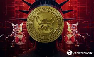 Криптовалютний проєкт FLOKI готується до відкриття дорожньої карти