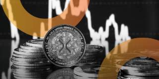 Активність китів Cardano та XRP досягає максимуму попри падіння ринку криптовалют