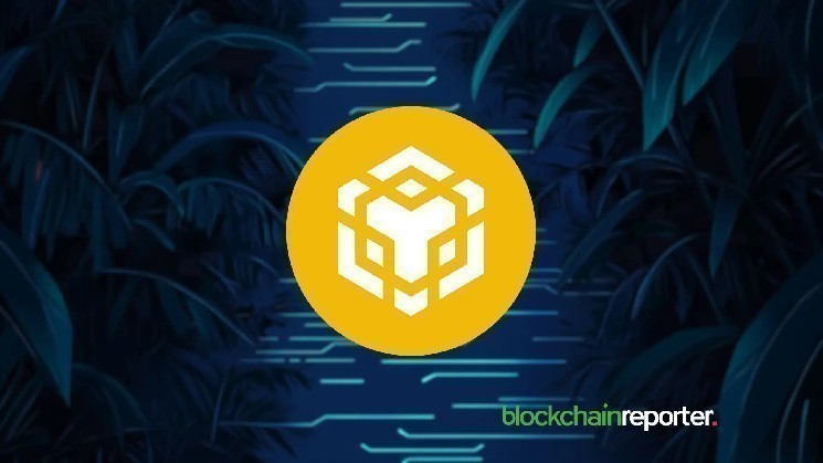 ArtGis Finance и DIN Network: Инновации ИИ на BNB Chain для улучшения DeFi решений