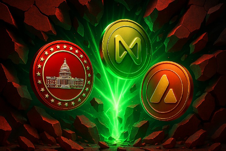 Страх на ринку криптовалют: цікаві можливості з MAGACOIN FINANCE, NEAR та AVAX.