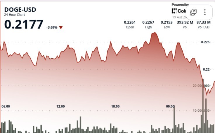 Dogecoin тестує рівень підтримки $0.22 на фоні великого обсягу торгів у $782 млн та ризику ліквідацій