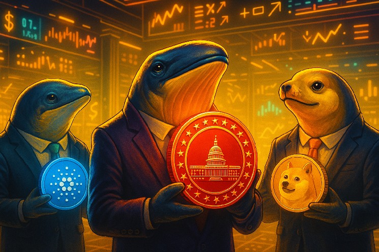7 альткоїнів з потенціалом 100x: чому кити звернули увагу на Cardano, DOGE та MAGACOIN FINANCE?