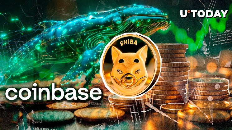 Кит Shiba Inu накопичує 132 мільярди SHIB, вивівши їх з Coinbase