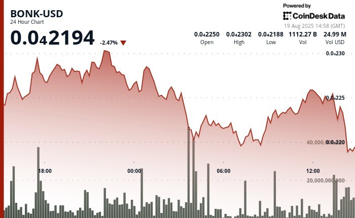 Токен BONK: волатильність та стратегічне позиціонування на фоні зниження.