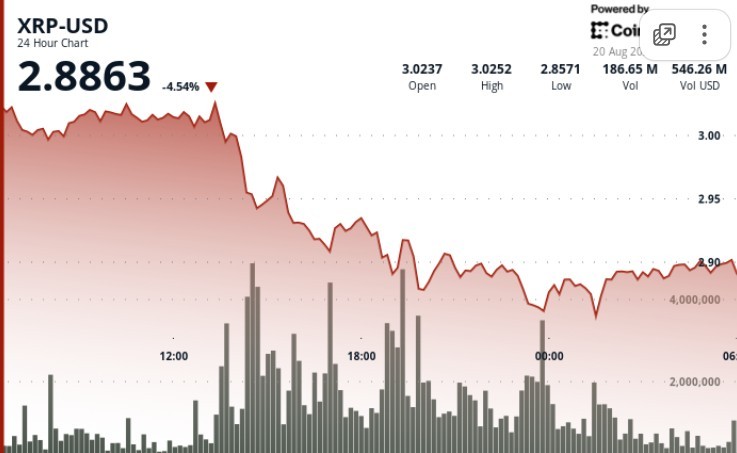 XRP впав до $2.90: проблеми з ETF та зниження безпеки впливають на ринок