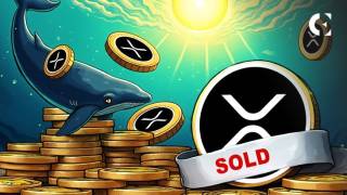 Киты сбросили 470 миллионов XRP: цена падает, рынок в тревоге