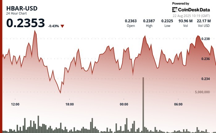HBAR тестує підтримку на $0.23, незважаючи на продажі та перспективи розширення використання в глобальних платежах