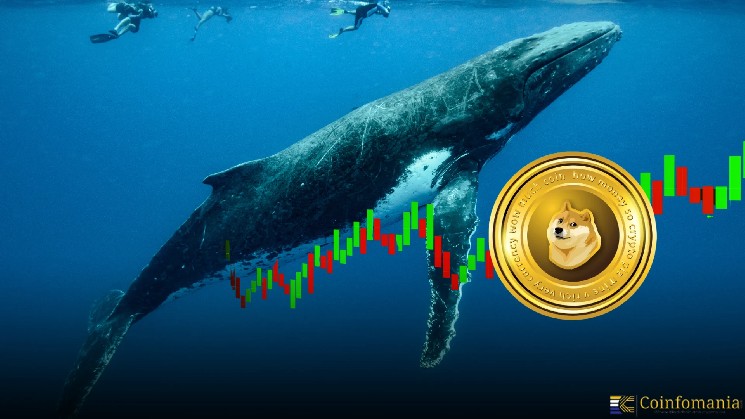 Dogecoin растет на 10% благодаря китам и поддержке ФРС: что стоит за трендом?