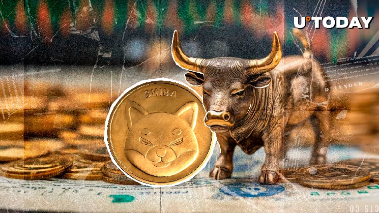 Зростання інтересу до Шиба Іну: відкриті позиції виросли на 10,15% за добу, бичків підтримує активне накопичення китів