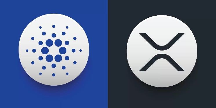 Хоскінсон про стратегічні співпраці Cardano, інтеграцію Chainlink та розвиток регуляцій в США