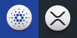 Хоскінсон про стратегічні співпраці Cardano, інтеграцію Chainlink та розвиток регуляцій в США