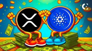 Кошелек Lace от Cardano добавляет поддержку XRP: новое сотрудничество и планы по расширению криптоэкосистемы