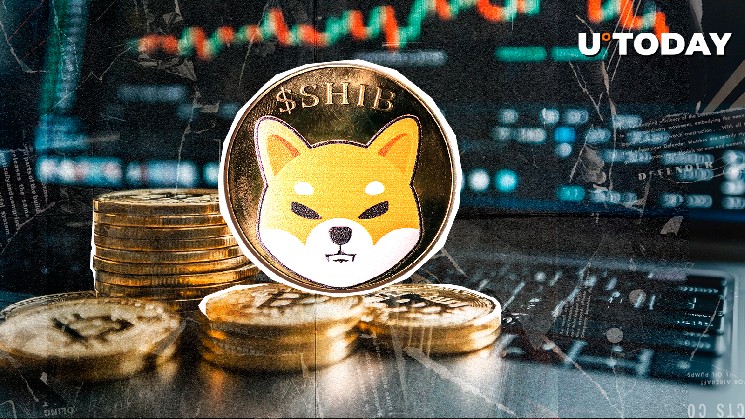 Виведення 10 мільярдів SHIB з Binance: чи підготує вересень новий сплеск для мем-монети?