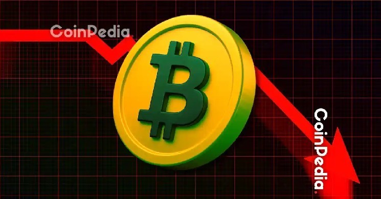 Біткоїн обвалився нижче $114 тисяч через продаж великого гравця на $310 мільйонів: ринок реагує на ліквідації та зміни в ставках
