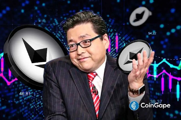 BitMine Тома Лі збільшила казну Ethereum на $800 млн в умовах падіння цін